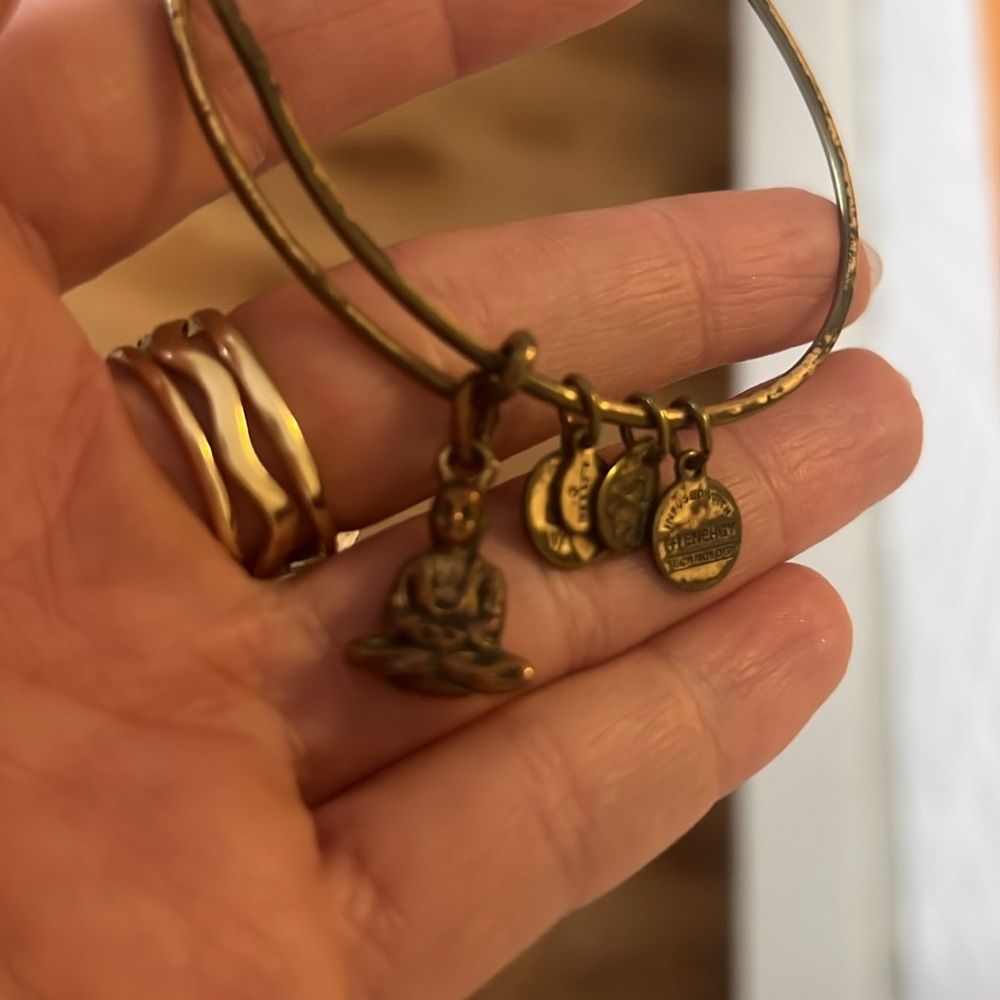 ALEX AND ANI | BUDDHA BANGLE BRACELET | RAFAELIAN GOLD - Picture 8 of 8